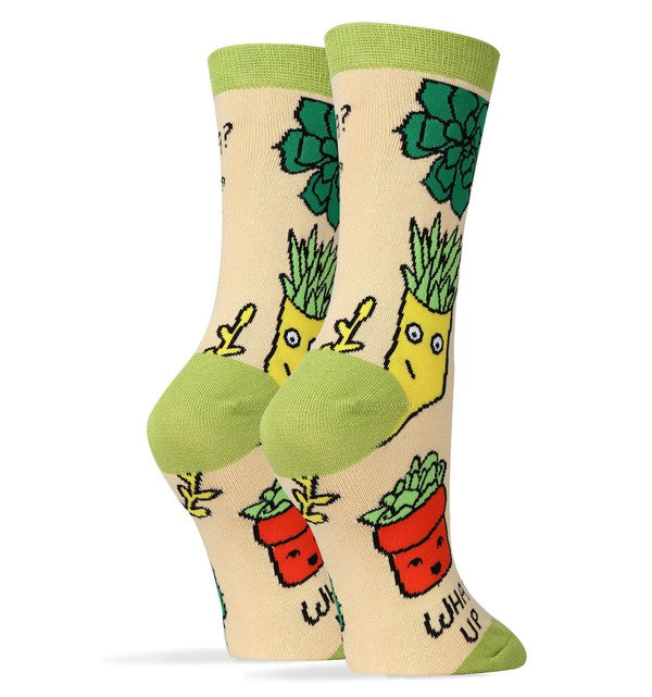 What Up Succa - Women's Funny Socks