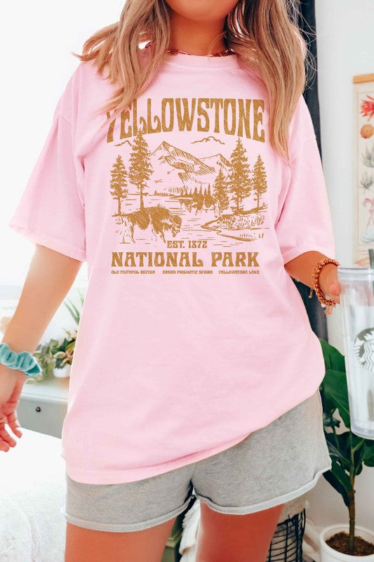 NATIONAL PARK GRAPHIC TEE