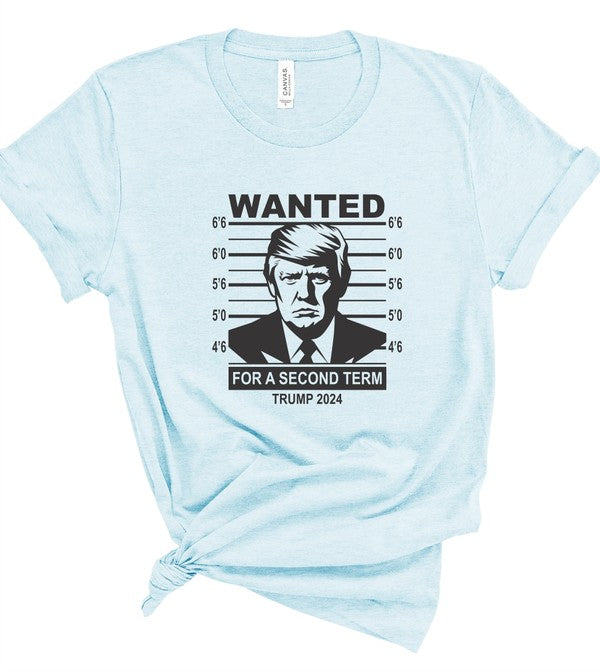 Wanted Trump Mugshot 2024 Graphic Tee Plus Size