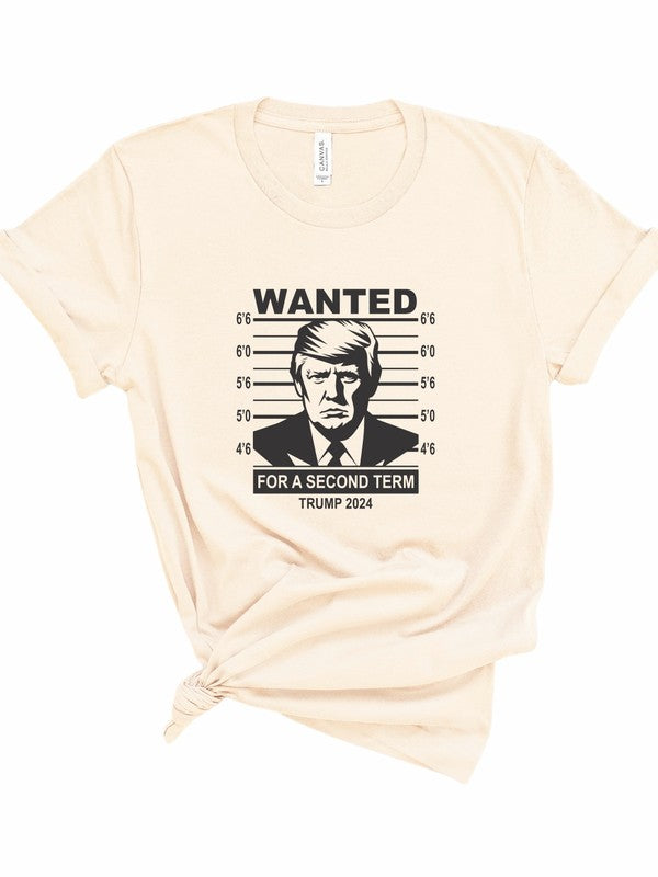 Wanted Trump Mugshot 2024 Graphic Tee Plus Size