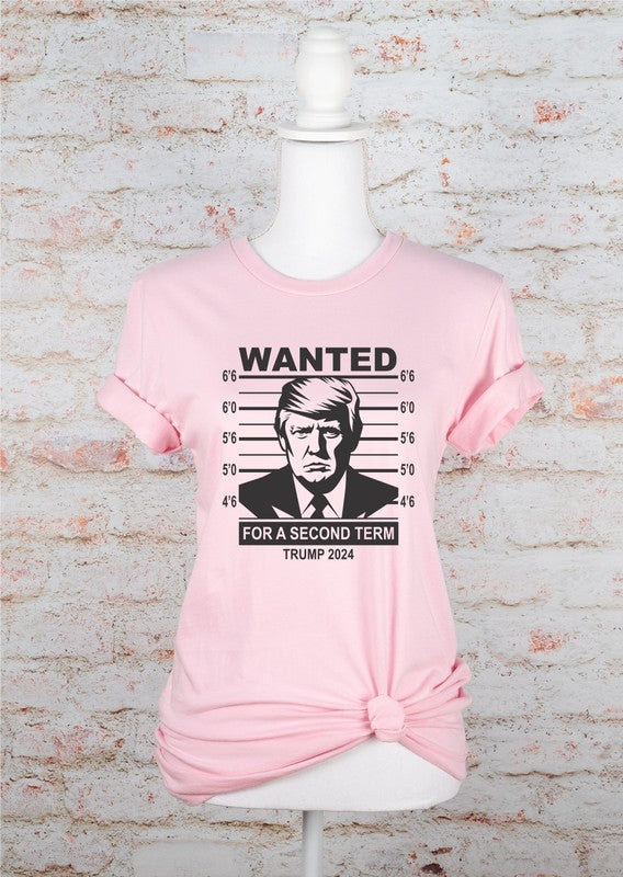 Wanted Trump Mugshot 2024 Graphic Tee Plus Size