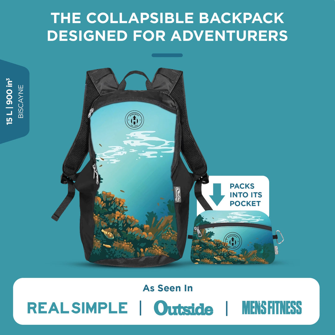 Collapsible Backpack