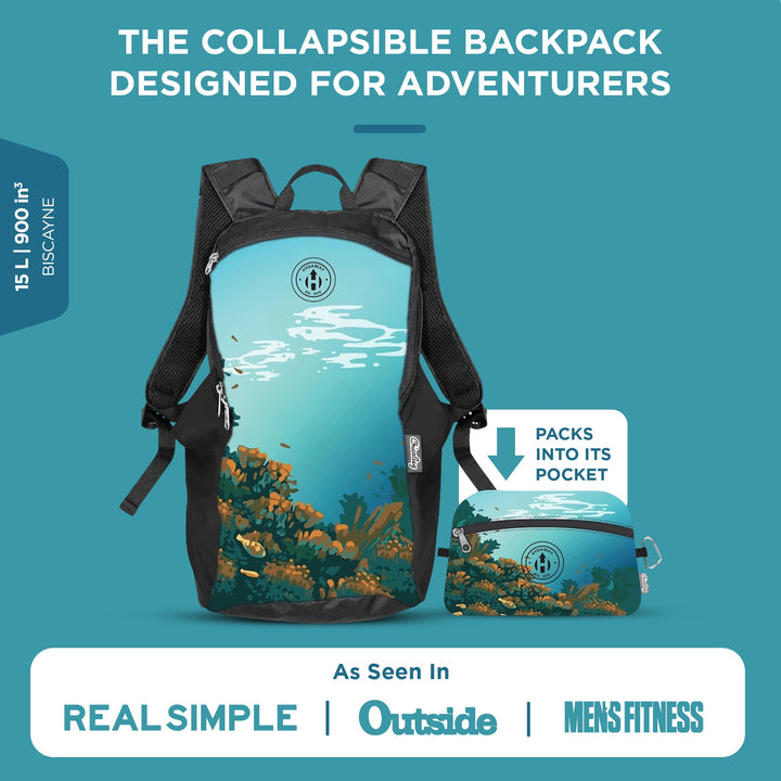 Collapsible Backpack