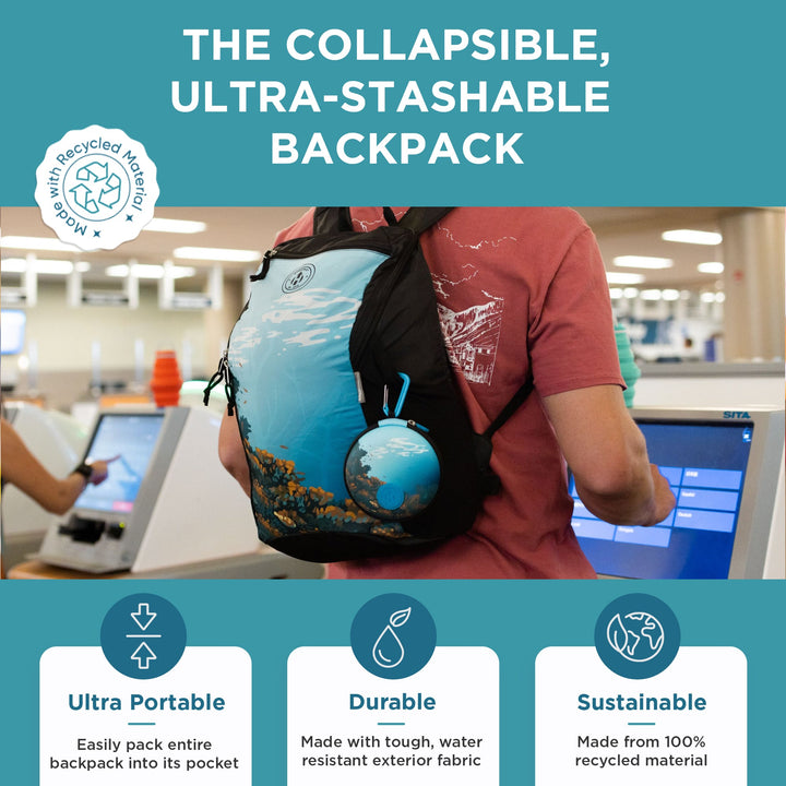 Collapsible Backpack